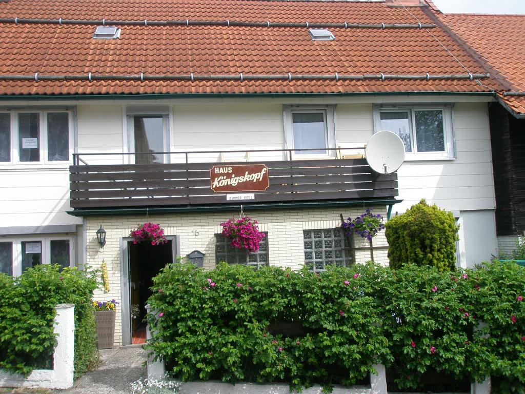 Harzpension Haus Königskopf Braunlage Exteriör bild