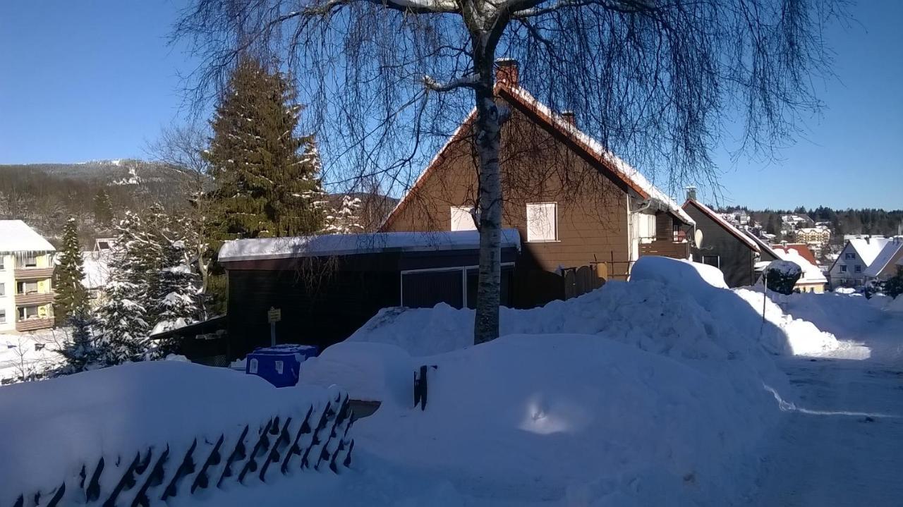 Harzpension Haus Königskopf Braunlage Exteriör bild